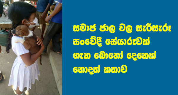 සමාජ ජාල වල සැරිසැරූ සංවේදී සේයාරුවක් ගැන බොහෝ දෙනෙක් නොදත් කතාව