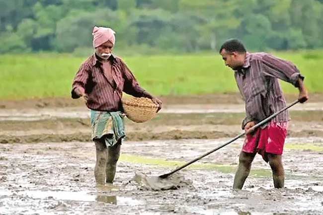 නොමිලේ දෙන මඩ පොහොර 10 දාට කලින් ගන්න