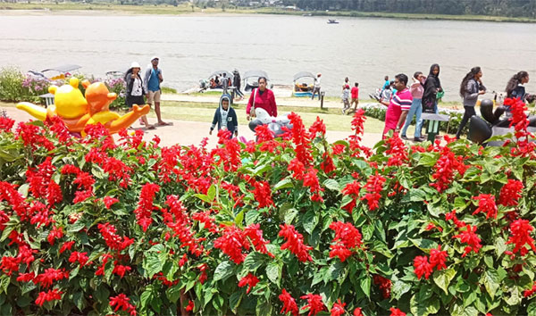 නුවරඑළිය වසන්ත සැනකෙළිය මඳින් මඳ තරවෙයි
