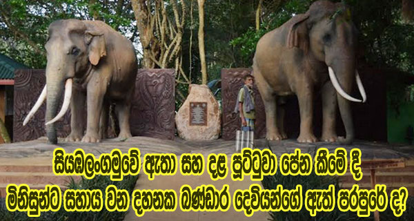 සියඹලංගමුවේ ඇතා සහ දළ පූට්ටුවා පේන කීමේ දී මිනිසුන්ට සහාය වන දහනක බණ්ඩාර දෙවියන්ගේ ඇත් පරපුරේ ද?