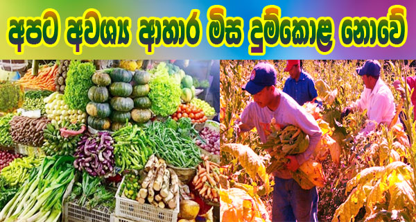 අපට අවශ්‍ය ආහාර මිස දුම්කොළ නොවේ