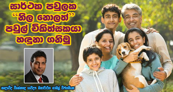 සාර්ථක පවුලක “නිල නොලත්” පවුල් චිකිත්සකයා හඳුනා ගනිමු