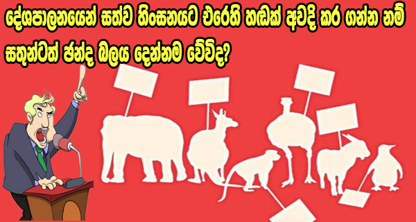 දේශපාලනයෙන් සත්ව හිංසනයට එරෙහි හඬක් අවදි කර ගන්න නම් සතුන්ටත් ඡන්ද බලය දෙන්නම වේවිද?