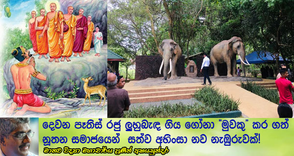 දෙවන පෑතිස් රජු ලුහුබැඳ ගිය ගෝනා “මුවකු” කර ගත් නූතන සමාජයෙන්  සත්ව අහිංසා නව නැඹුරුවක්!
