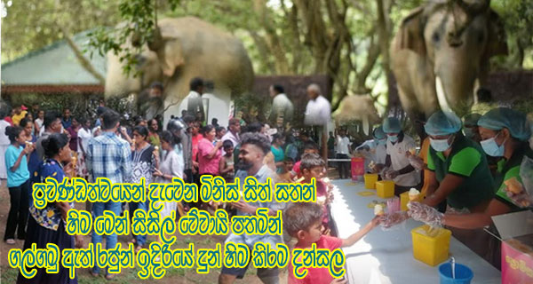 ප්‍රචණ්ඩත්වයෙන් දැවෙන මිනිස් සිත් සතන් හිම මෙන් සිසිල් වේවායි පතමින් ගල්ගමු ඇත් රජුන් ඉදිරියේ දුන් හිම කිරම දන්සල