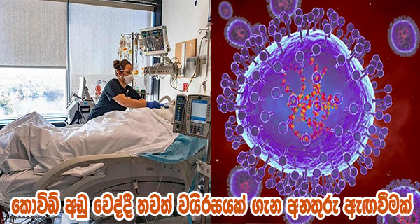 කොවිඩ් අඩු වෙද්දී තවත් වයිරසයක් ගැන අනතුරු ඇඟවීමක්