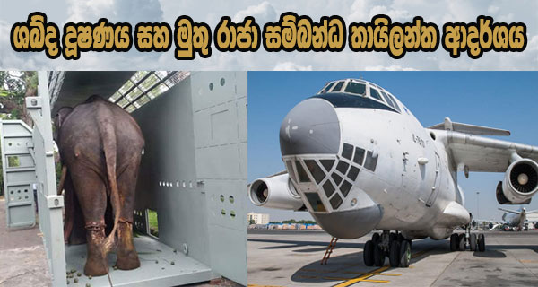 ශබ්ද දූෂණය සහ මුතු රාජා සම්බන්ධ තායිලන්ත ආදර්ශය