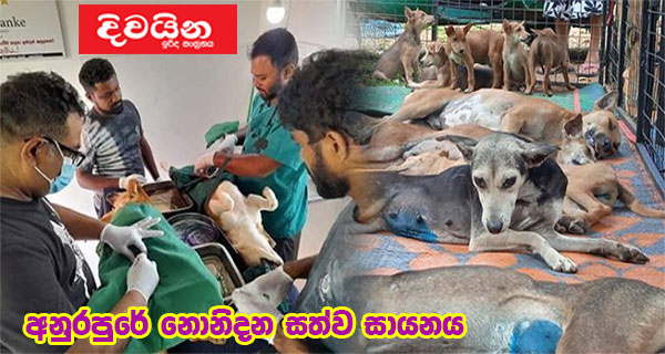 අනුරපුරේ නොනිදන සත්ව සායනය