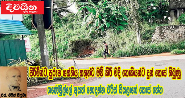 පිරිමින්ට පුරුෂ ශක්තිය කතුන්ට මව් කිරි මදි නොකියන්ට දුන් කොස් තිබුණු ගණේමුල්ලේ අයත් නොදන්න එරිස් සීයලාගේ කොස් හේන