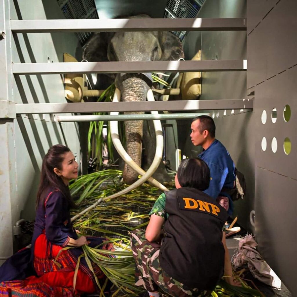 මුතුරාජා තායිලන්තය බලා ගුවන් ගත වෙයි