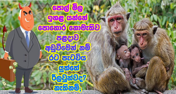 පොල් මිල ඉහළ යන්නේ පොහොර නොමැතිව පළදාව අඩුවීමෙන් නම් රට පැටවිය යුත්තේ රිලවුන්වද?නැතිනම්;