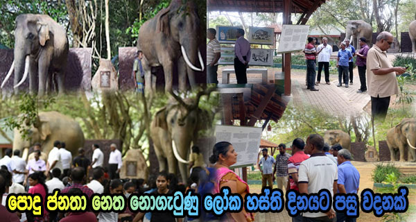 පොදු ජනතා නෙත නොගැටුණු ලෝක හස්ති දිනයට පසු වදනක්