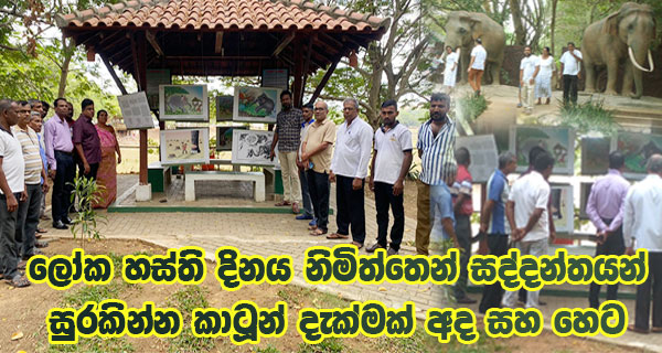ලෝක හස්ති දිනය නිමිත්තෙන් සද්දන්තයන් සුරකින්න කාටූන් දැක්මක් අද සහ හෙට