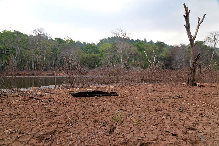 මඩු පාර රක්ෂිතයේ හෙක්ටෙයාර් 56.8 ක කොටසක් ජනතාවට