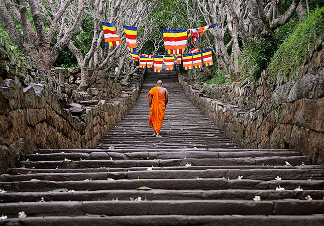 මිහින්තලේ ලයිට් කපයි