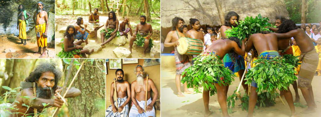 ලෝක ආදිවාසී දිනය අදයි