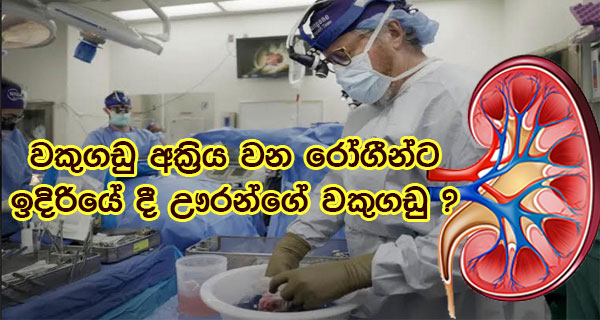 වකුගඩු අක්‍රිය වන රෝගීන්ට ඉදිරියේ දී ඌරන්ගේ වකුගඩු ?