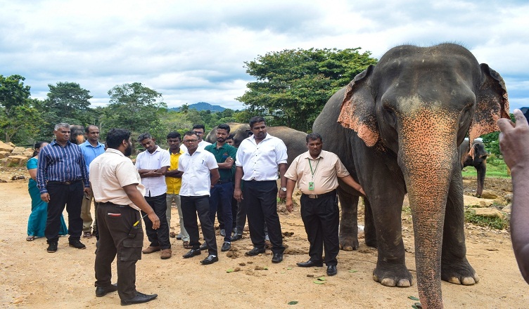 ඇත් ගොව්වන් සඳහා NVQ-4 පාඨමාලාවක් ඇරඹෙයි