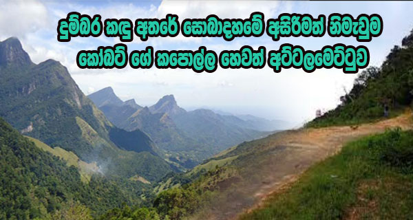 දුම්බර කඳු අතරේ සොබාදහමේ අසිරිමත් නිමැවුම කෝබට් ගේ කපොල්ල හෙවත් අට්ටලමෙට්ටුව