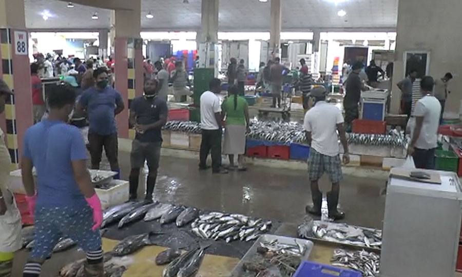 පෑලියගොඩ ලාබ මාළු ගමේ දී තාමත් ගණන්ලු