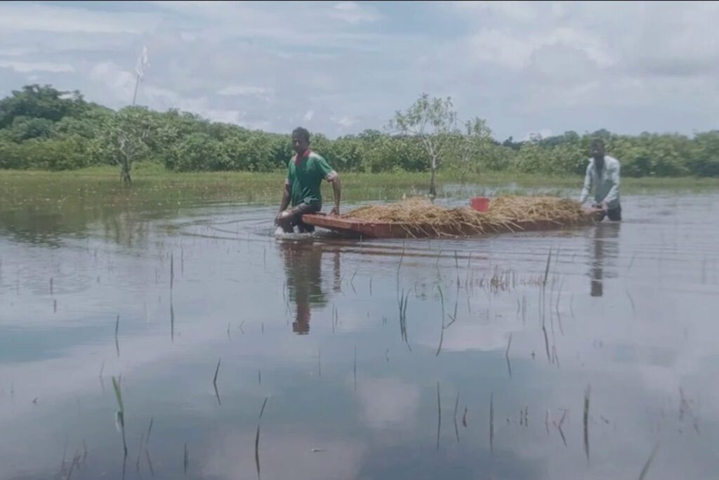 ඔරුවෙන් ගොස් ගෙයම් කපති