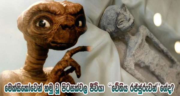මෙක්සිකෝවෙන් හමු වූ පිටසක්වල ජීවියා ‘චේතිය රජ්ජුරුවන්‘ගේද?