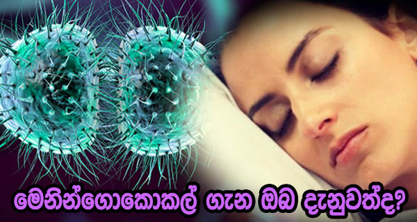 මෙනින්ගොකොකල් ගැන ඔබ දැනුවත්ද?