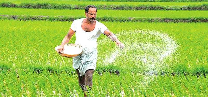 මහ කන්නයේ පෝර ගන්න කෝටි 1200ක් ගොවීන් ගේ ගිණුම්වලට