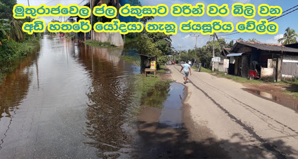 මුතුරාජවෙල ජල රකුසාට වරින් වර බිලි වන ‘අඩි හතරේ යෝදයා’ තැනූ ජයසූරිය වේල්ල