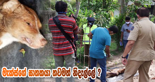 මැක්ස්ගේ ඝාතකයා තවමත් නිදැල්ලේ ?