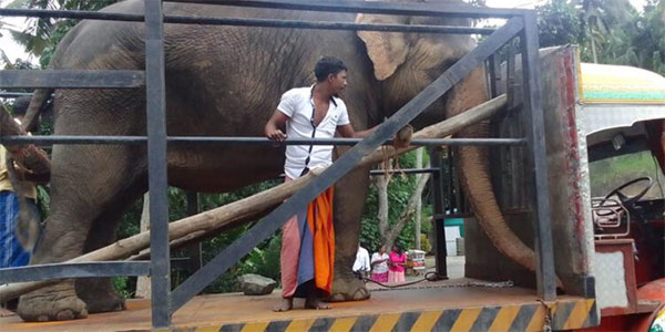 සීතාට සාධාරණය ඉෂ්ඨ කර ගැනීම සඳහා ජාත්‍යන්තර අධිකරණයකට යාමට සූදානම්