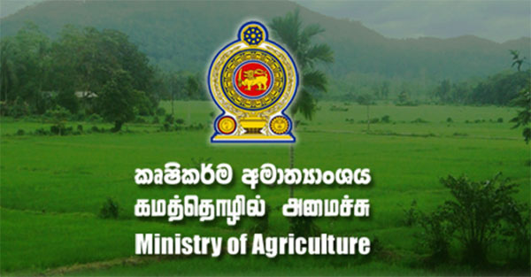 යල කන්නයේ වගා හානි සඳහා වන්දි ලබා දීම හෙට(19) සිට