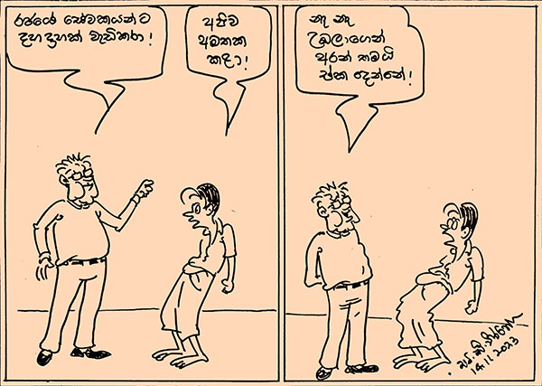 කාටූන් 2023.11.14