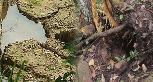 ඇල්ල-වැල්ලවායේ නාය යාමක් සක්‍රීය වෙයි