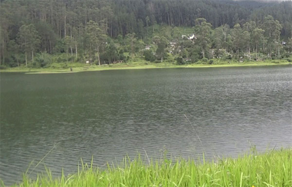 කාසල්රී මාවුසාකැලේ පිටාර මට්ටමේ