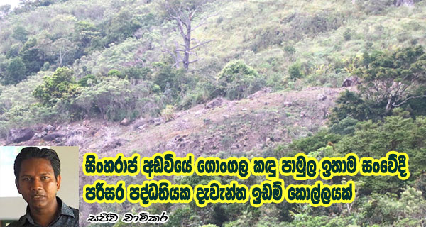 සිංහරාජ අඩවියේ ගොංගල කඳු පාමුල ඉතාම සංවේදී පරිසර පද්ධතියක දැවැන්ත ඉඩම් කොල්ලයක්