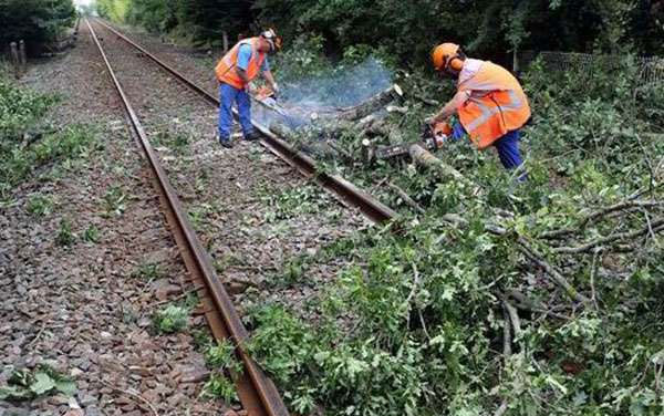 උඩරට දුම්රිය මාර්ගයට ගසක් කඩා වැ‌ටෙයි