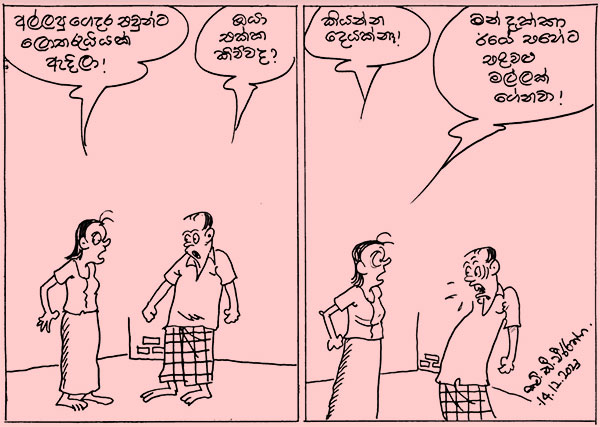 කාටූන් 2023.12.14