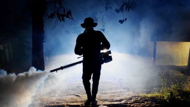 ඩෙංගු ව්‍යාප්තිය මර්දනයට වැඩසටහනක්