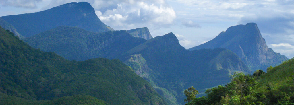 නකල්ස් සුරකින්න පස් අවුරුදු ව්‍යාපෘතියක්