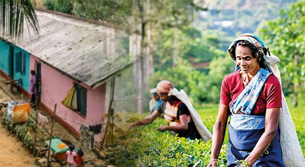 වතු කම්කරුවන්ට ස්ථිර ලිපින