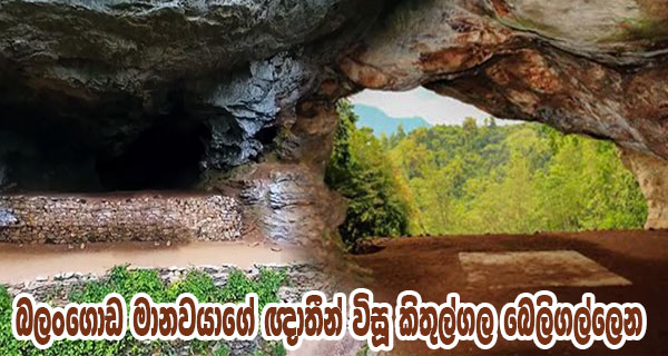 බලංගොඩ මානවයාගේ ඥාතීන් විසූ කිතුල්ගල බෙලිගල්ලෙන