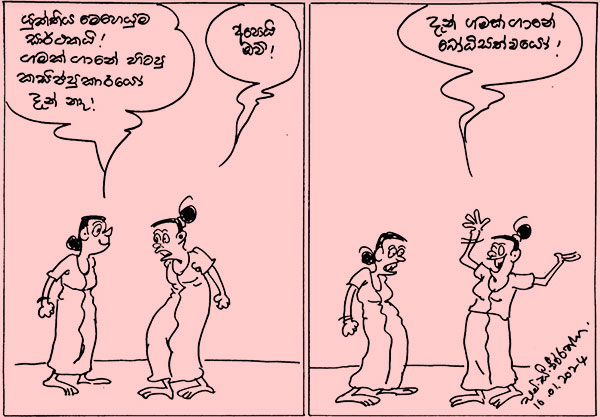 කාටූන් 2024.01.16