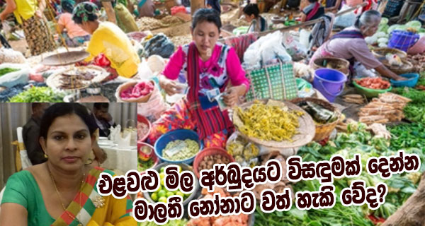 එළවළු මිල අර්බුදයට විසඳුමක් දෙන්න මාලතී නෝනාට වත් හැකි වේද?
