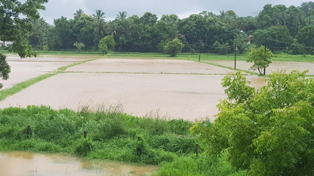 ගං වතුරෙන් කුඹුරු අක්කර 61,000කට හානි
