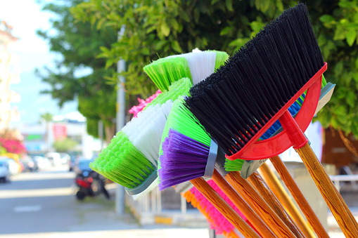 ප්ලාස්ටික් කොසු ඉදල් ආනයනය තහනම් කළ යුතුයි