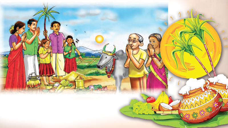 තෛපොංගල් අදයි