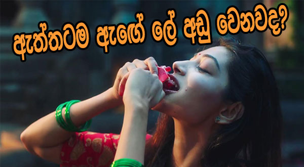 ඇත්තටම ඇඟේ ලේ අඩු වෙනවද?