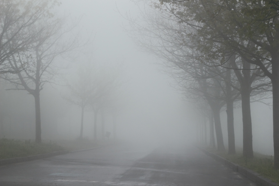 විකල්ප මාර්ග නැහැ – ප්‍රධාන මාර්ගයක් මීදුමෙන් වැසීයයි