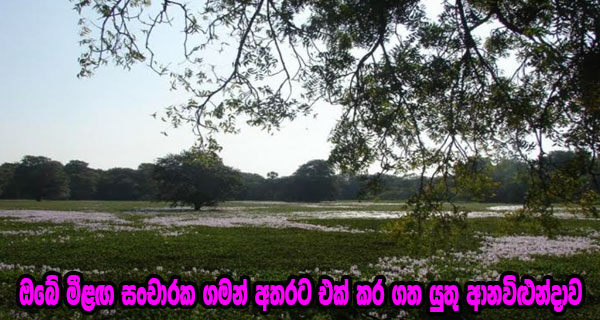 ඔබේ මීළඟ සංචාරක ගමන් අතරට එක් කර ගත යුතු ආනවිලුන්දාව